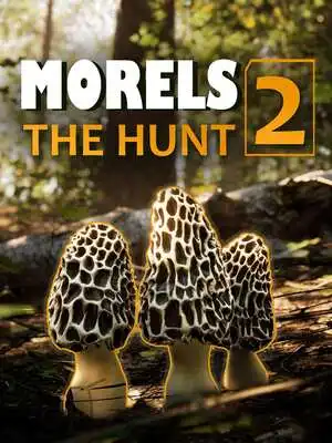 Morels: The Hunt 2