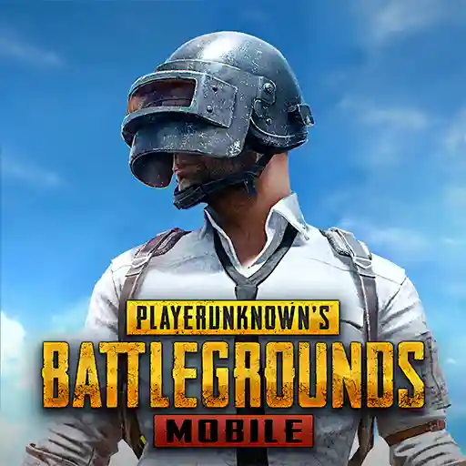 Paidwork - PUBG MOBILE